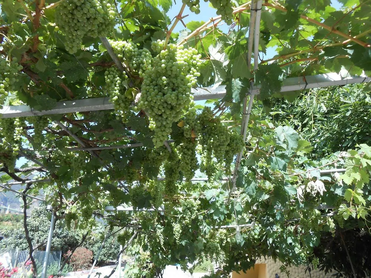 Casitas Las Uvas Y Las Vinas Los Realejos
