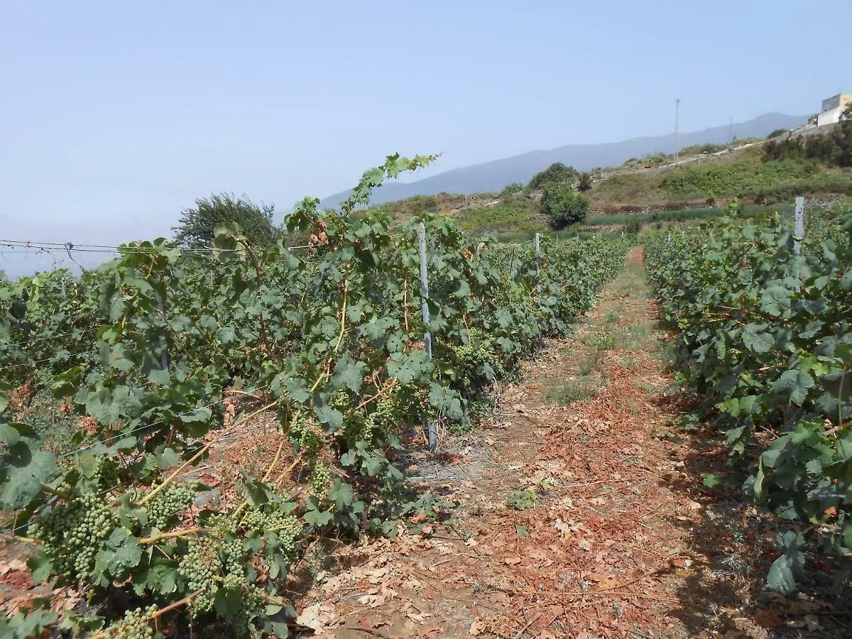 Casitas Las Uvas Y Las Vinas Los Realejos Spain