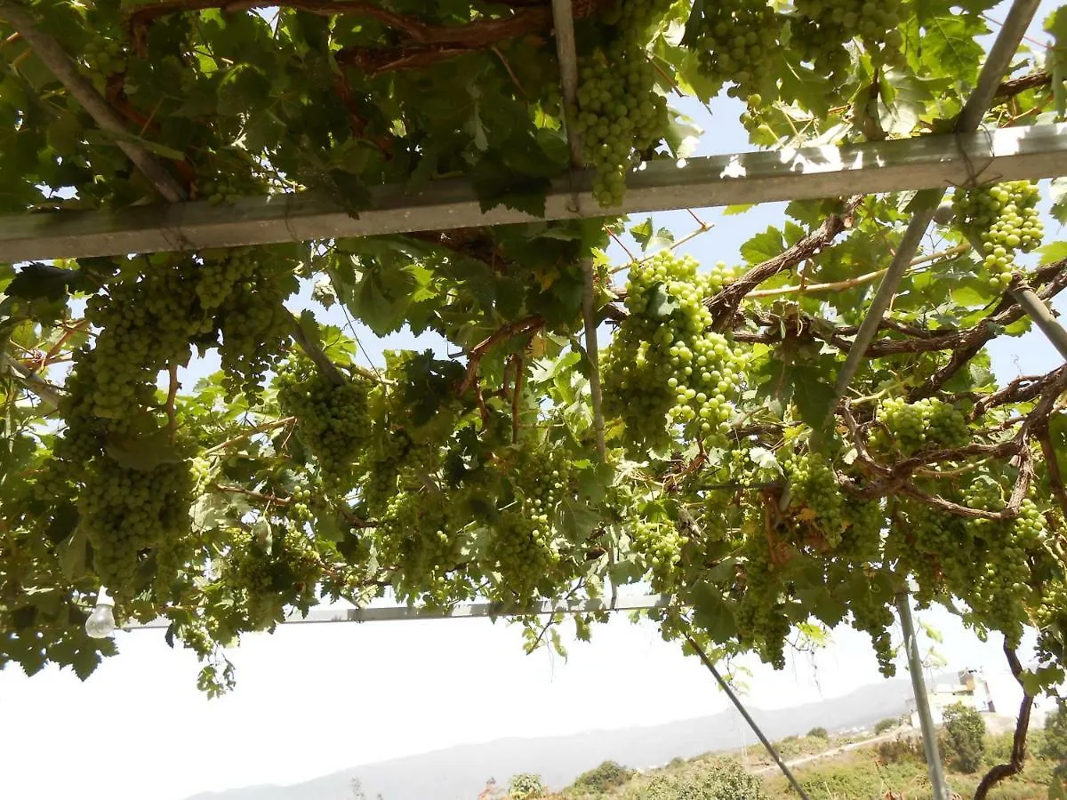 Casitas Las Uvas Y Las Vinas Los Realejos 0*,